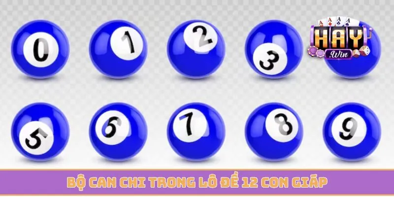 Bộ can chi trong lô đề 12 con giáp anh em cần nắm bắt