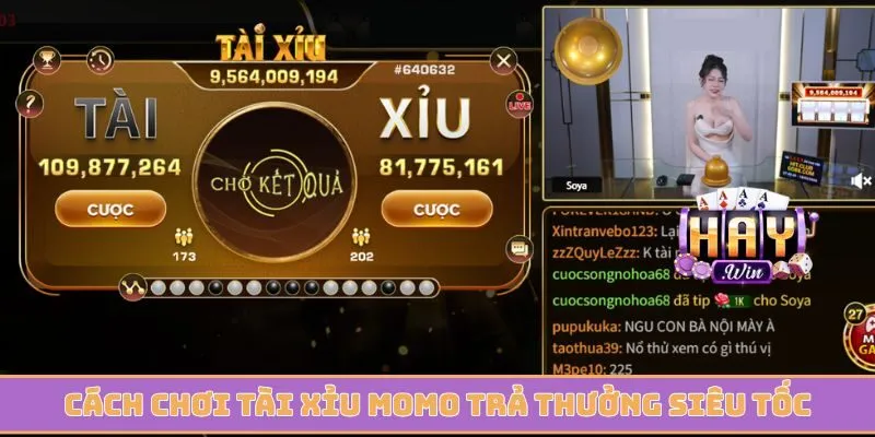 Cách chơi tài xỉu Momo với cơ chế trả thưởng siêu tốc