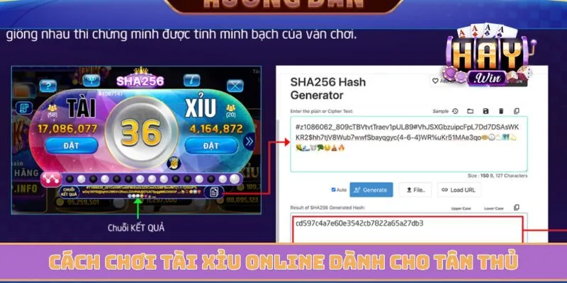 Cách chơi tài xỉu online chi tiết dành cho tân thủ