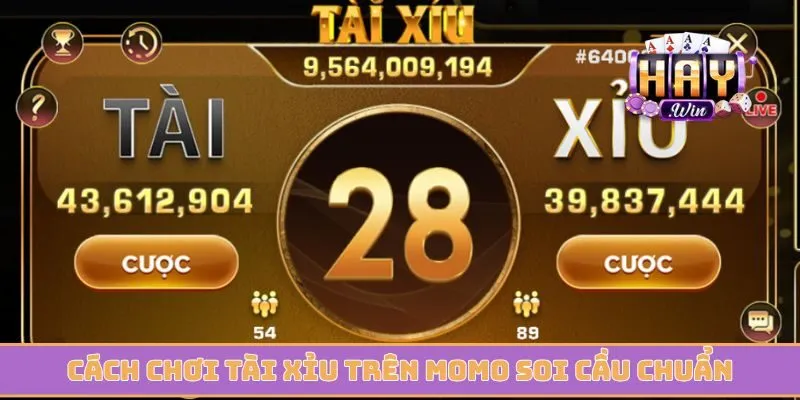 Cách chơi tài xỉu trên Momo cùng phương pháp soi cầu chuẩn