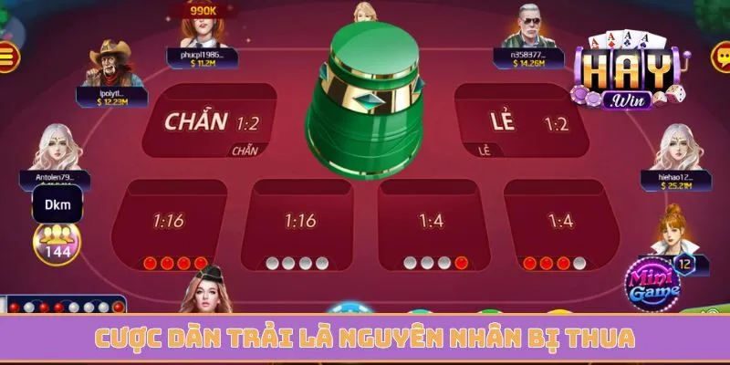 Cược dàn trải là nguyên nhân bị thua khi chơi xóc đĩa