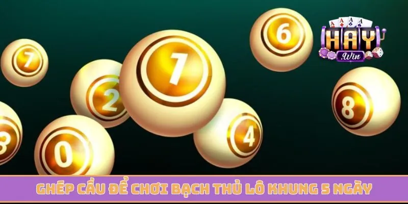 Ghép cầu để chơi bạch thủ lô khung 5 ngày mang về tiền tỷ