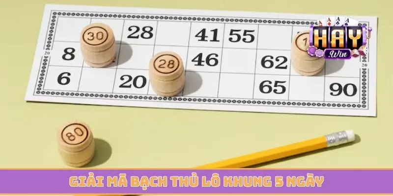 Giải mã bạch thủ lô khung 5 ngày với những điều bí ẩn