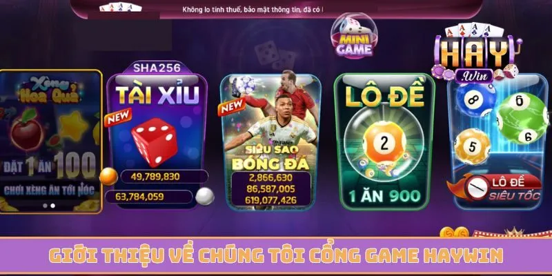 Giới thiệu về chúng tôi là cổng game Haywin uy tín