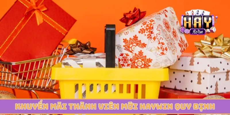 Khuyến mãi thành viên mới Haywin quy định rõ ràng