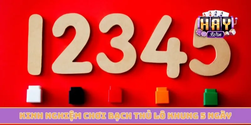 Kinh nghiệm chơi bạch thủ lô khung 5 ngày từ các chuyên gia