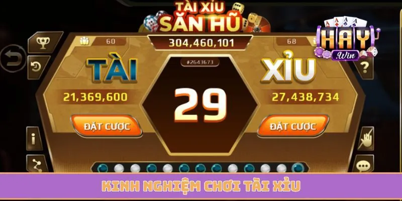 Kinh nghiệm chơi tài xỉu