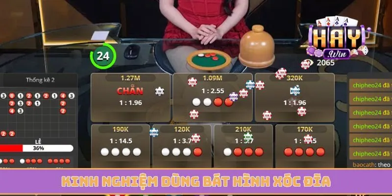 Kinh nghiệm dùng bát hình xóc đĩa đạt hiệu quả 99%