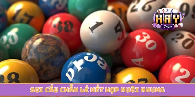 Soi cầu chẵn lẻ kết hợp nuôi khung được tin tưởng