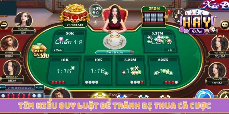 Tìm hiểu quy luật tránh bị thua cá cược xóc đĩa trực tuyến