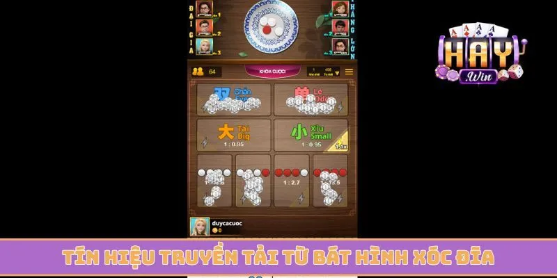 Tín hiệu truyền tải từ bát hình xóc đĩa dành cho hội viên