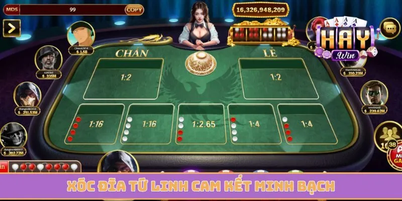 Xóc đĩa Tứ Linh cam kết minh bạch khi trả kết quả cược